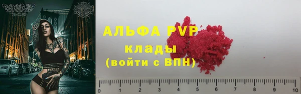 трава Аркадак