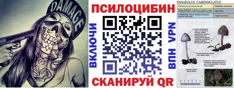 Галлюциногенные грибы мицелий  Фокино 